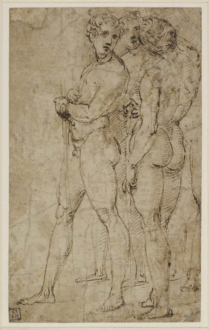 Collections of Drawings antique (1717).jpg